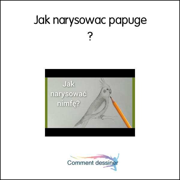 Jak narysować papuge